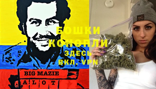 ГАЛЛЮЦИНОГЕННЫЕ ГРИБЫ Алексеевка